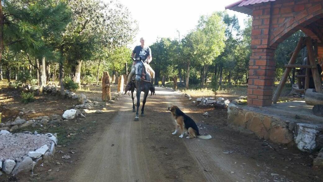 Rancho Cabanas San Isidro Cerocahuí エクステリア 写真